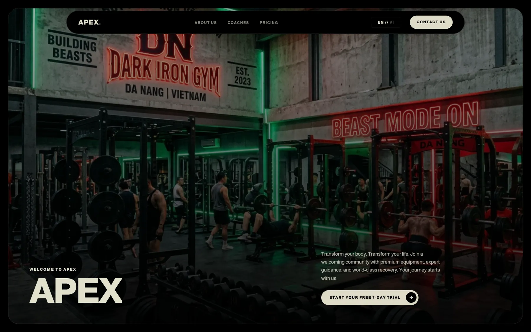 APEX Fitness Da Nang - Premium Sport & Santé / Salle de Sport Premium Website Design and Development Showcase
